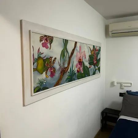 Apartment Via Della Luce *